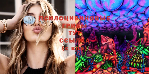 ешки Переславль-Залесский