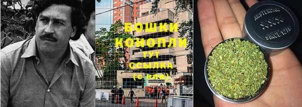 прущие крисы Бронницы